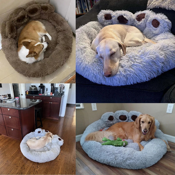Paw Comfort Bed